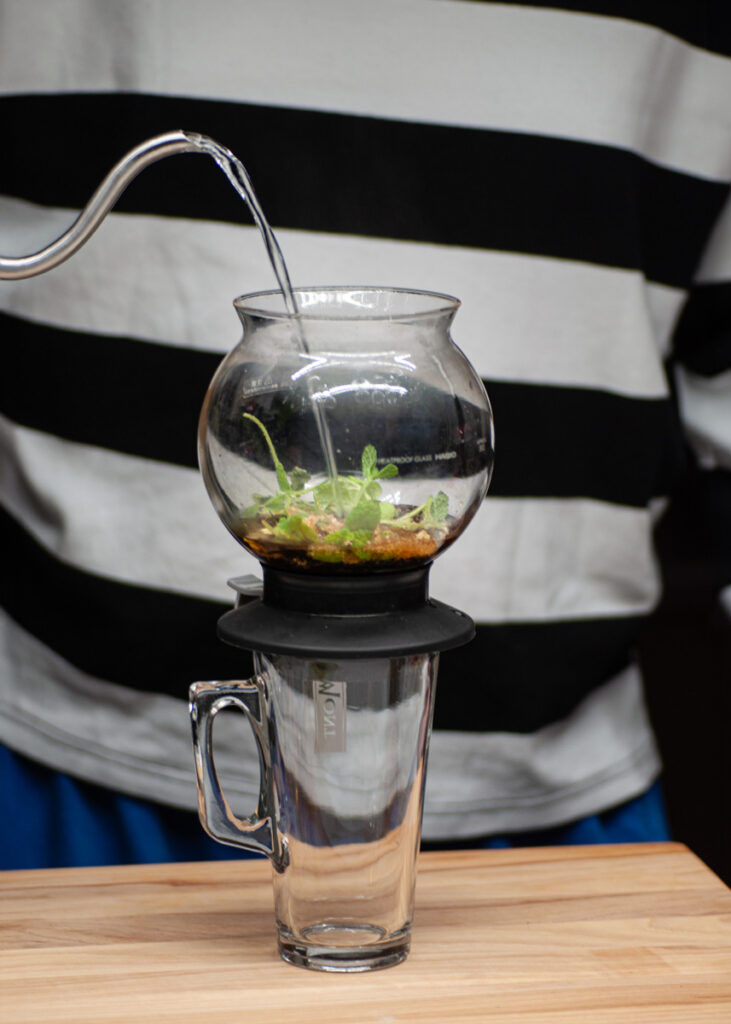 zalewanie herbaty zimowej w zaparzaczu postawionym na kubku